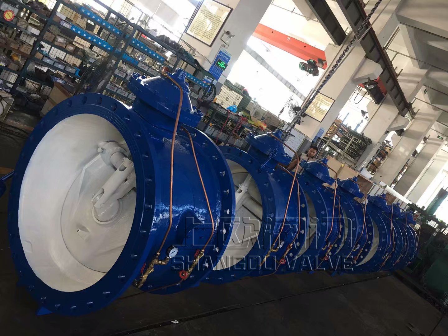 psb (31)_����.jpg